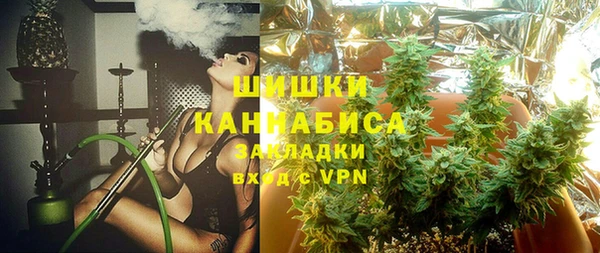 прущие грибы Верхнеуральск