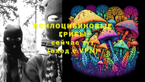 ECSTASY Волоколамск