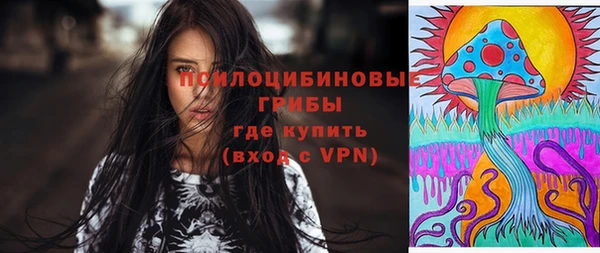 прущие грибы Верхнеуральск