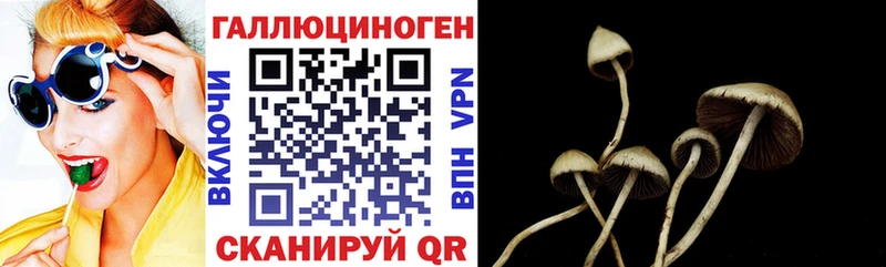 Галлюциногенные грибы прущие грибы  Купить закладки  Порхов 